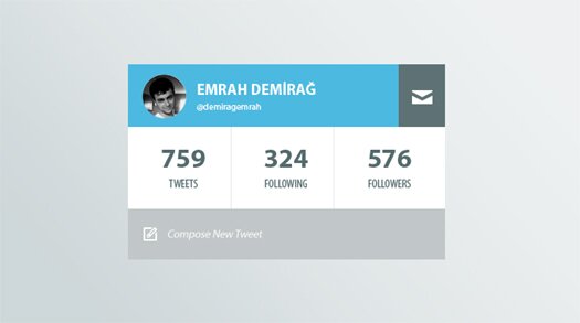 Twitter Profile Widget (PSD)